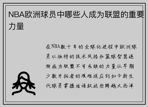 NBA欧洲球员中哪些人成为联盟的重要力量